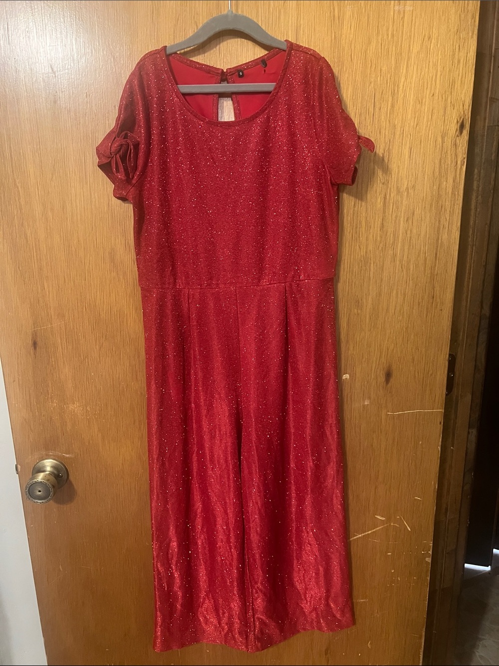 Sparkling Red Short Sleeve Jumpsuit